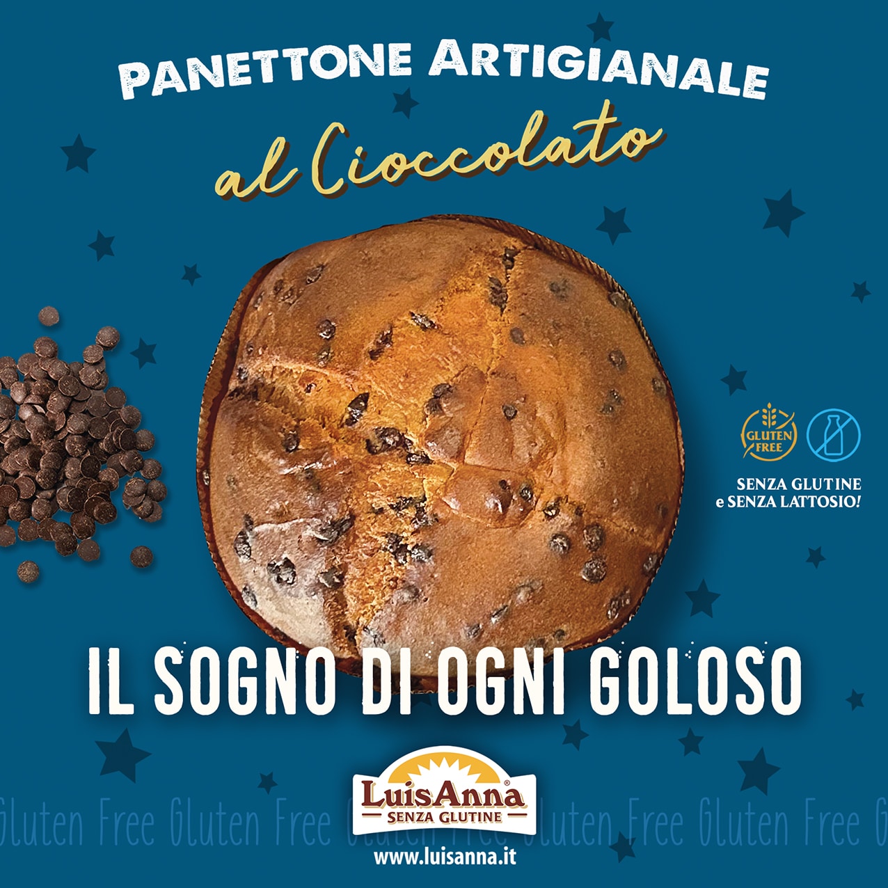 Panettone senza glutine e senza lattosio artigianale al cioccolato senza uvetta e senza canditi