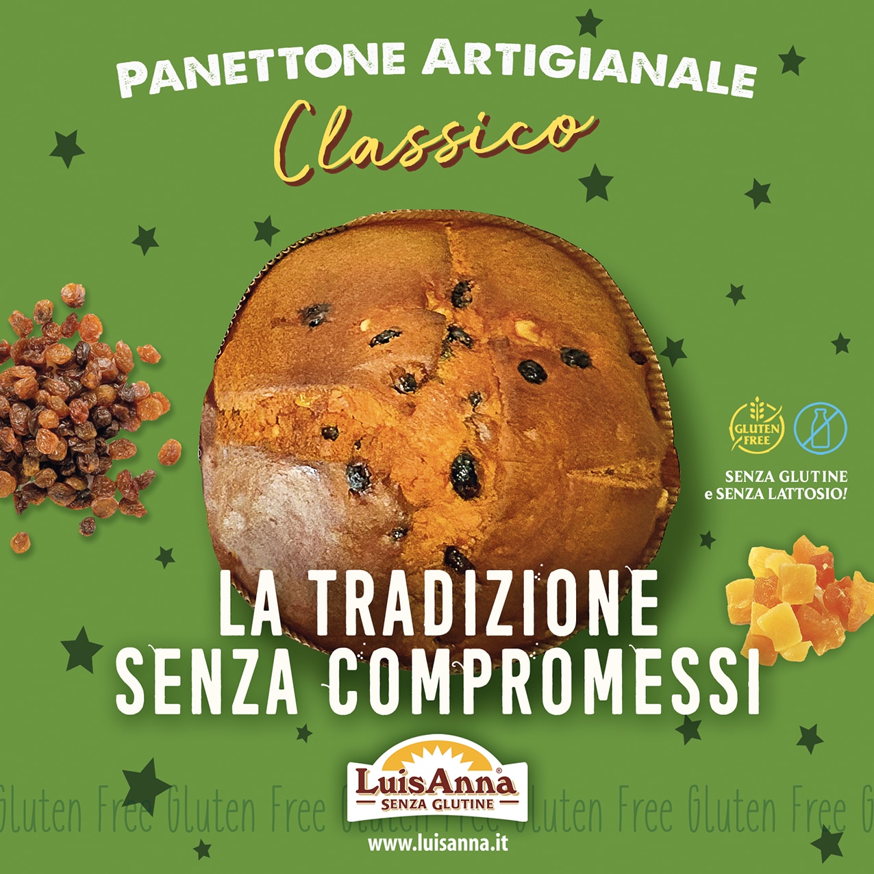 anettone senza glutine e senza lattosio artigianale classico